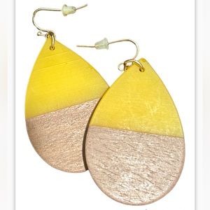 Pair of earrings